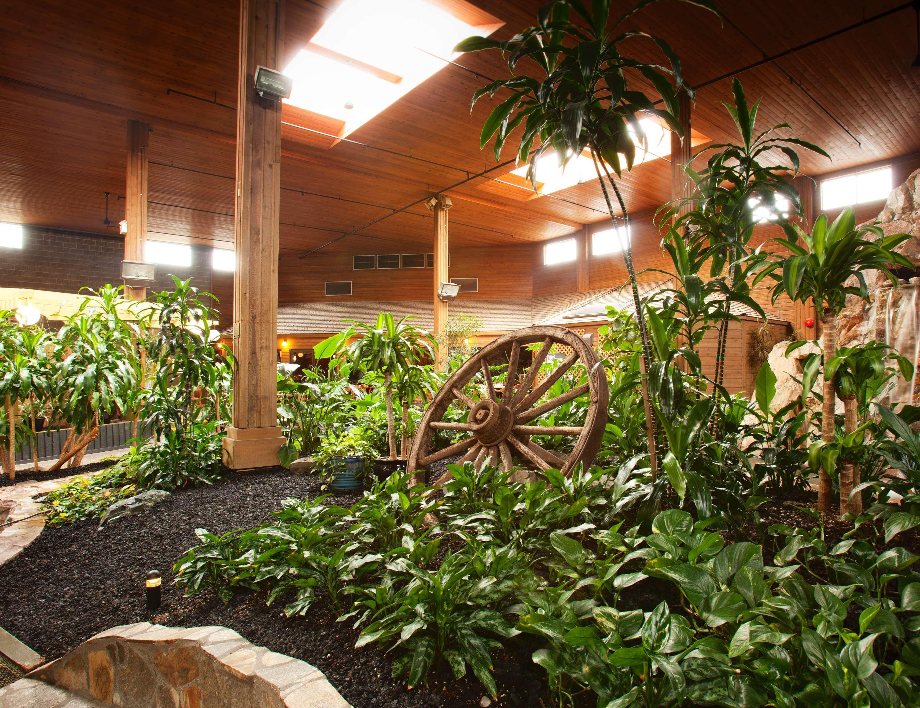 Best Western Premier Ashton Suites - Willowbrook Houston Eksteriør bilde